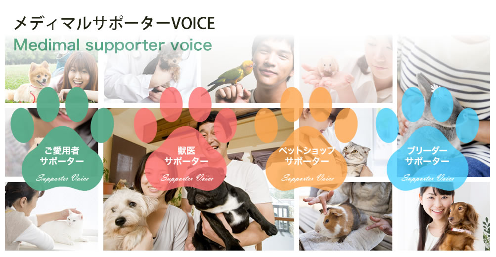 メディマルサポーターVOICE