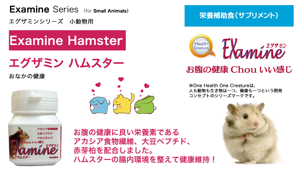 エグザミン・ドック＆キャット
